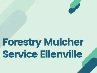 Forestry Mulcher Service Ellenville
