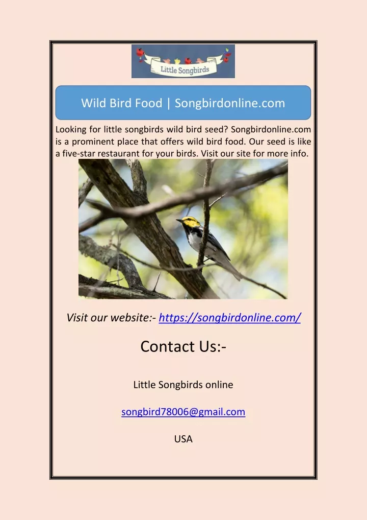 wild bird food songbirdonline com