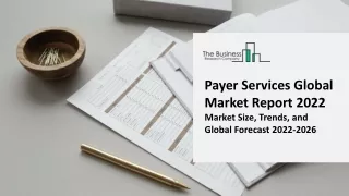 payer services global market report 2022 market