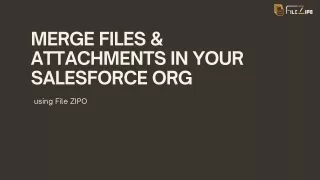 MergE Files & Attachments in your Salesforce Org | File ZIPO