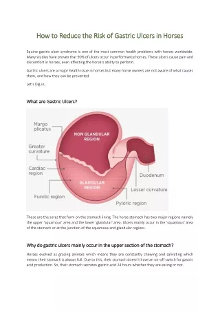 How to Reduce the Risk of Gastric Ulcers in Horses