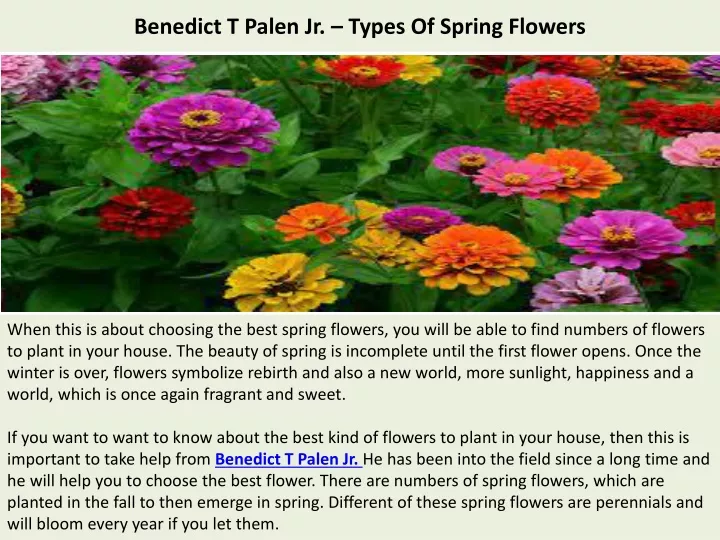 benedict t palen jr types of spring flowers