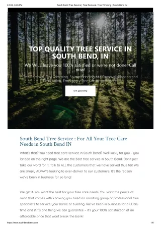 tree service near me South Bend