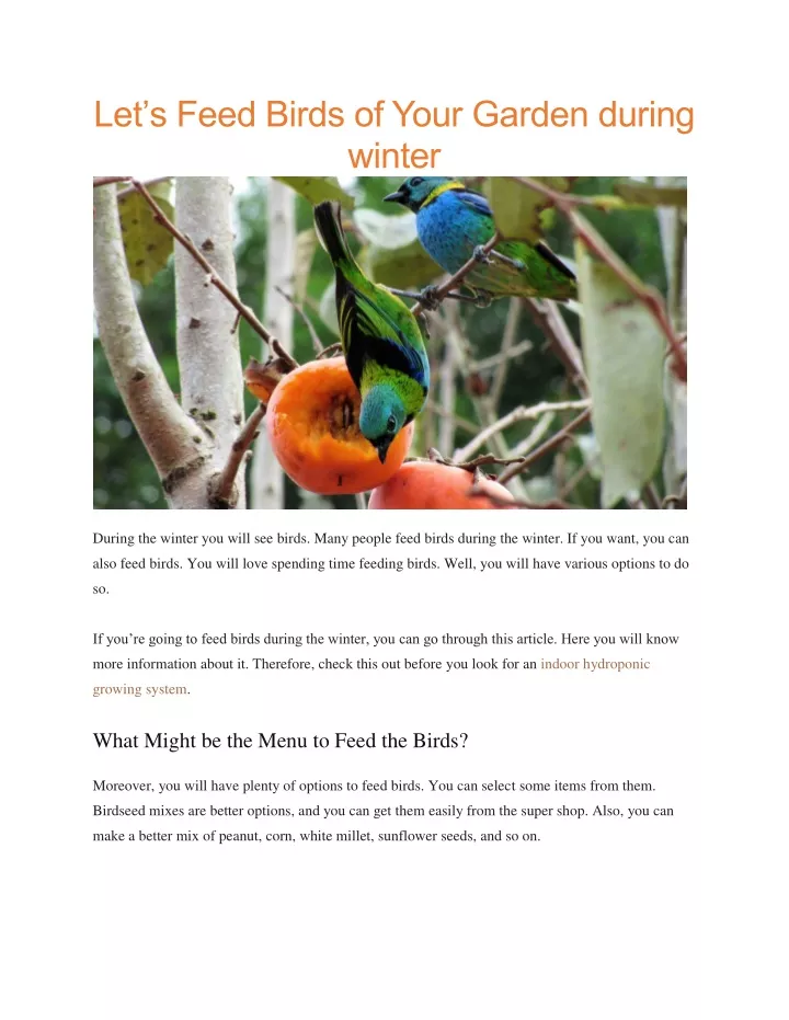 let s feed birds of your garden during winter