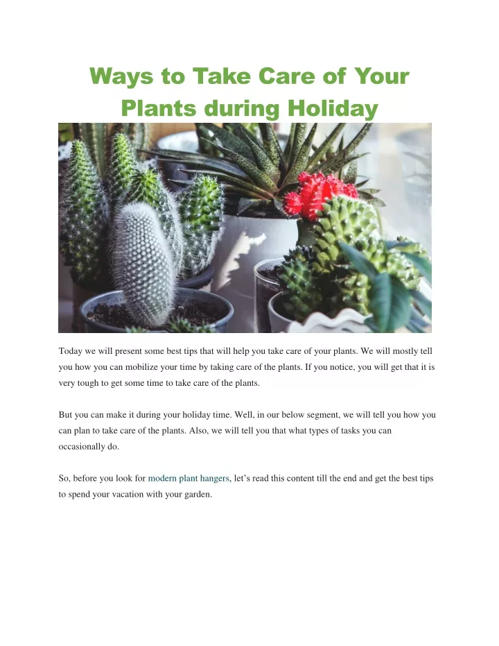 ways to take care of your plants during holiday
