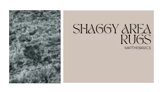 Shaggy Area Rugs