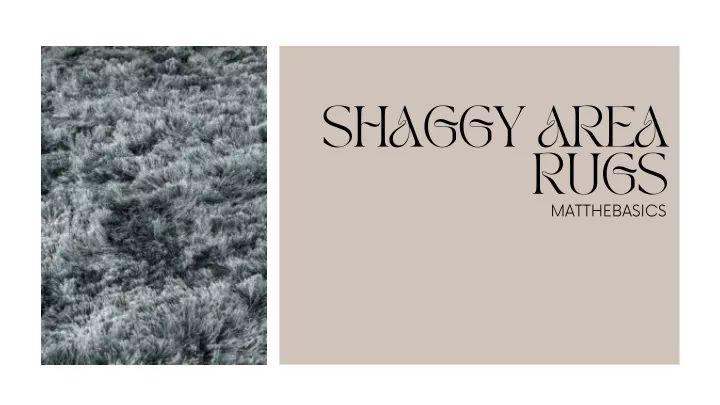 shaggy area