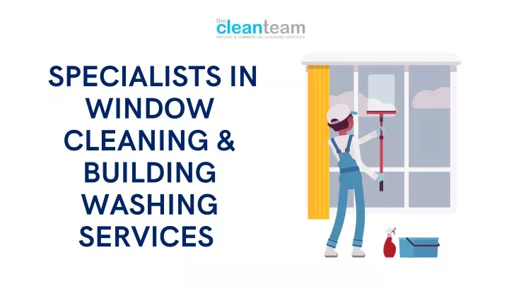 specialists in window cleaning building washing