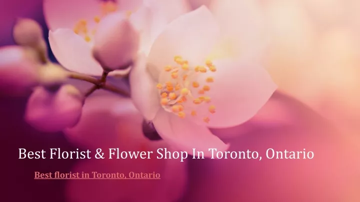 best florist flower shop in toronto ontario