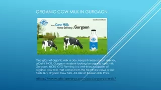 Organic Cow Milk in Gurgaon