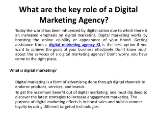 What are the key role of a Digital Marketing Agency