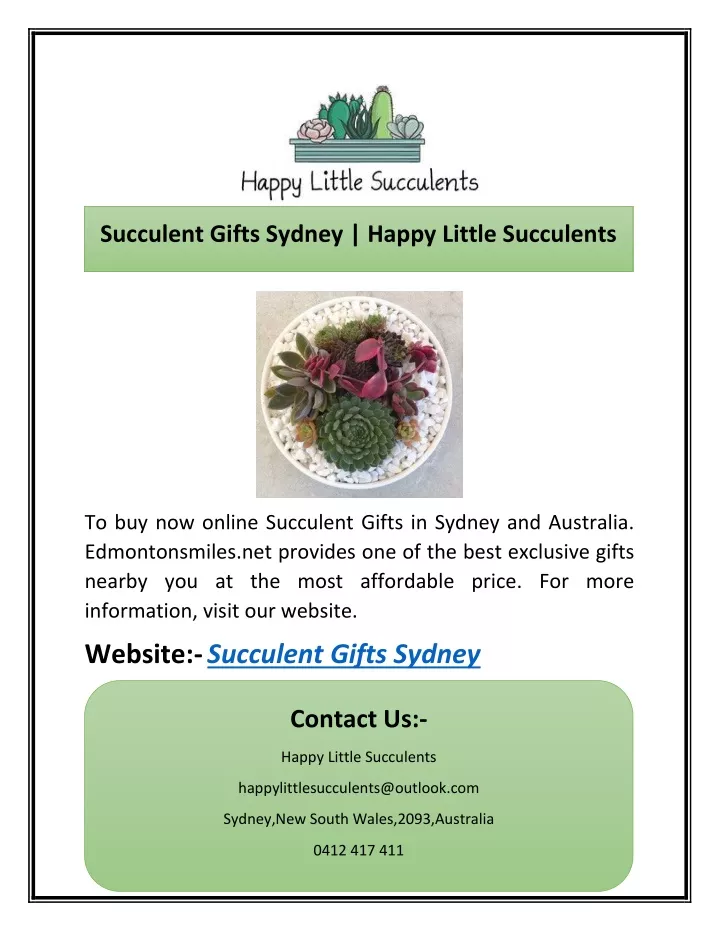 succulent gifts sydney happy little succulents