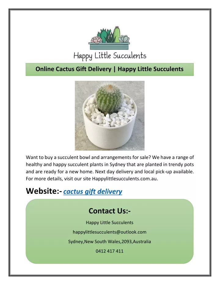 online cactus gift delivery happy little