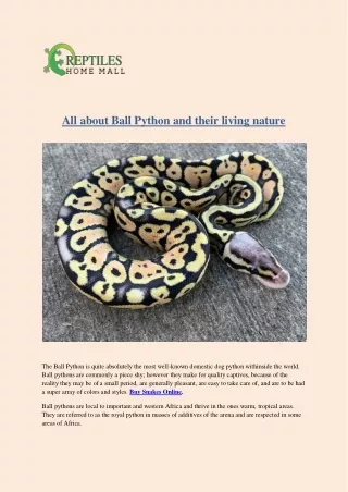 All about Ball Python and their living nature