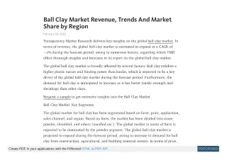 ball clay market revenue trends and market share