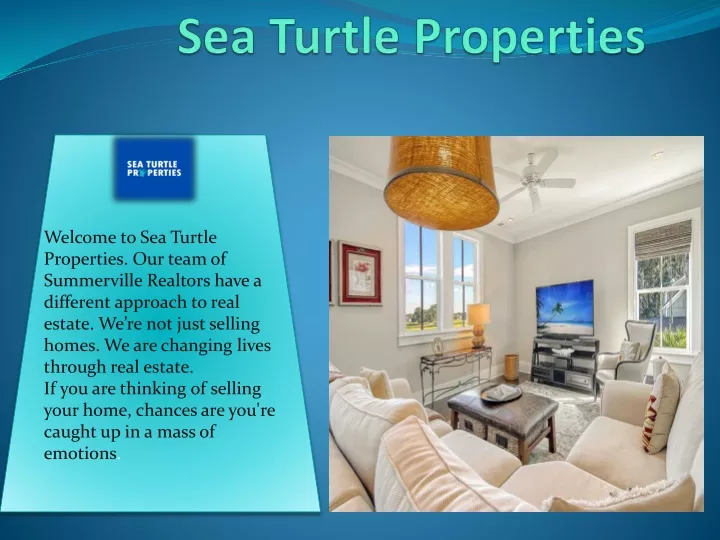 sea turtle properties