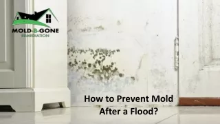 How to Prevent Mold After a Flood