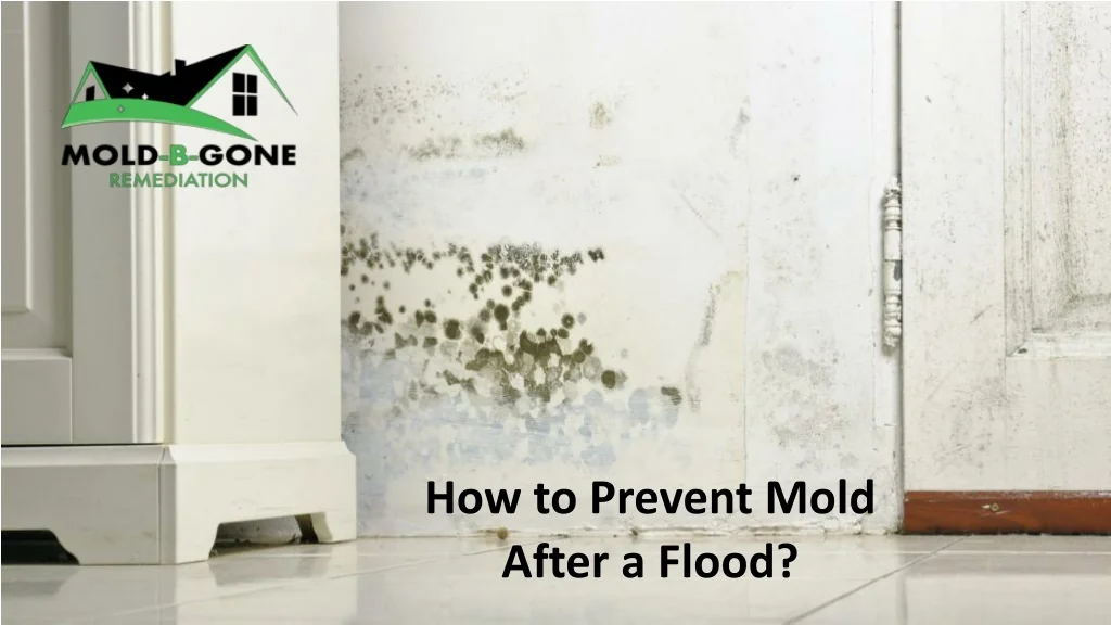PPT - How to Prevent Mold After a Flood PowerPoint Presentation, free ...