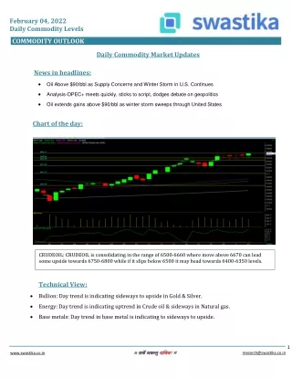 february 04 2022 daily commodity levels
