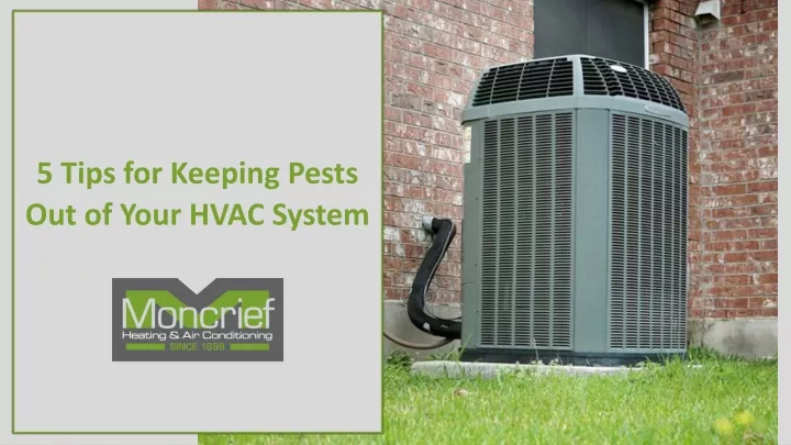 5 tips for keeping pests out of your hvac system