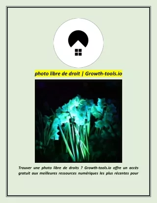 photo libre de droit | Growth-tools.io