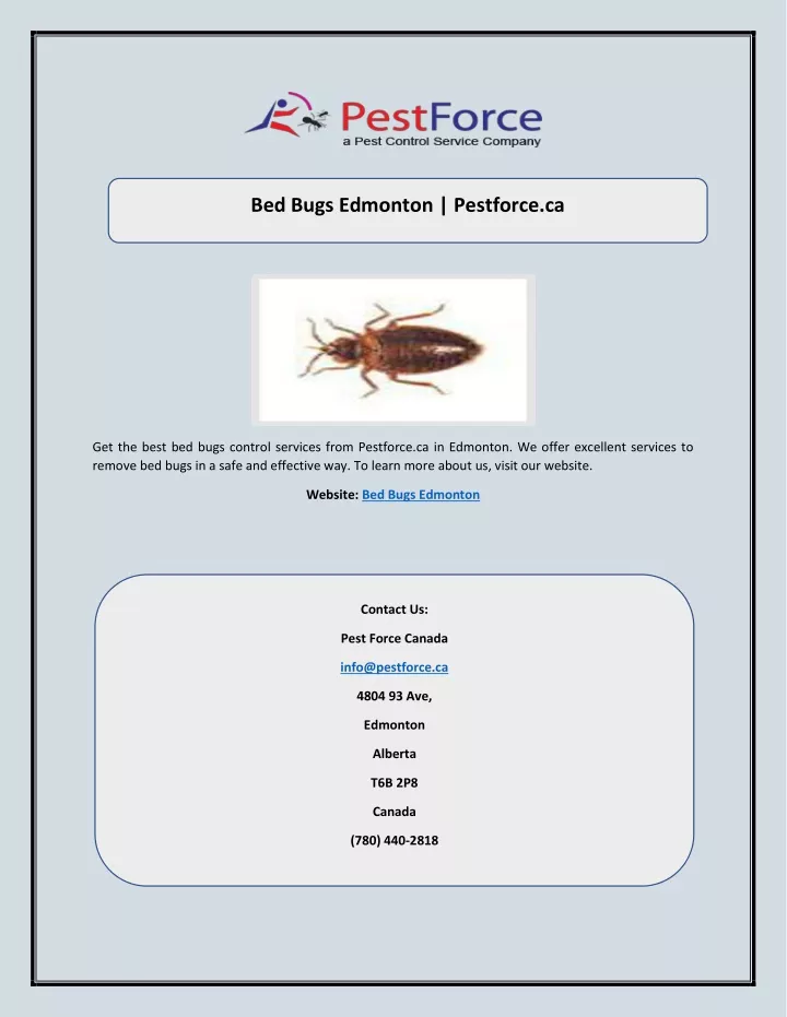 bed bugs edmonton pestforce ca