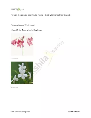 flower vegetable and fruits name evs worksheet