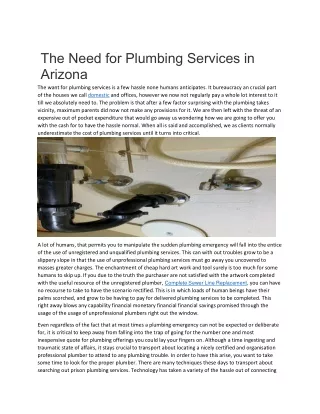 The Need for Plumbing Services in Arizona