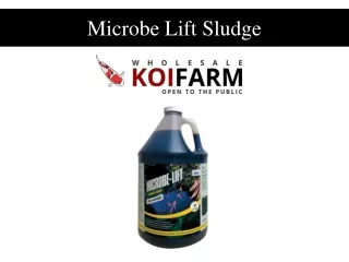 Microbe Lift Sludge