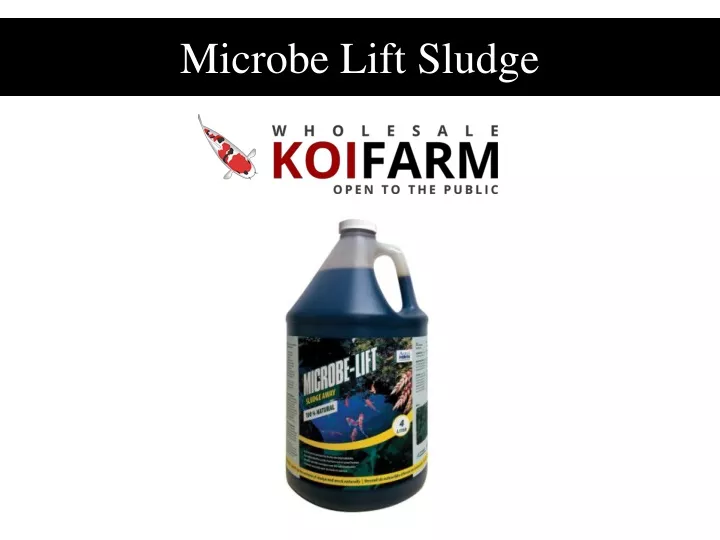 microbe lift sludge