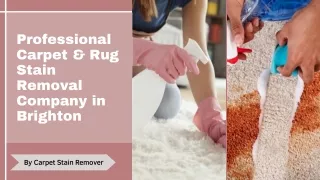 Professional Carpet & Rug Stain Removal Company in Brighton