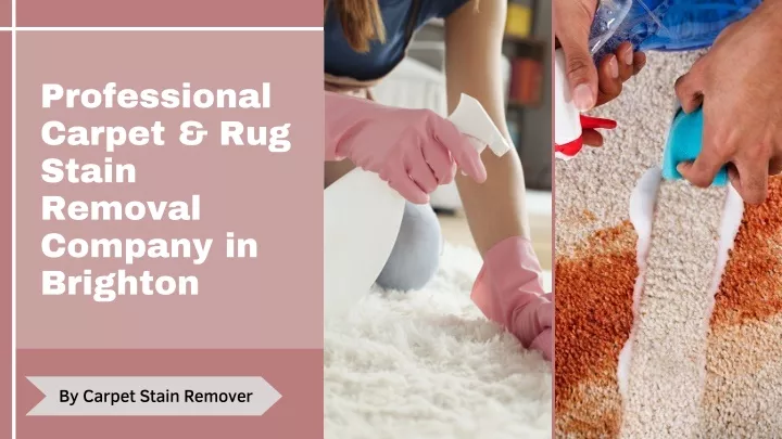 professional carpet rug stain removal company