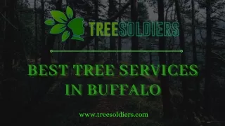 Best Tree Services in Buffalo