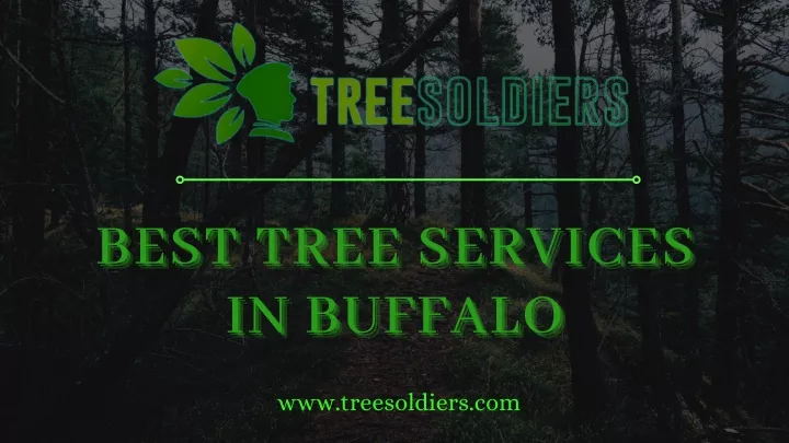 best tree services best tree services best tree