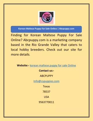 Korean Maltese Puppy For Sale Online Abcpuppy.com