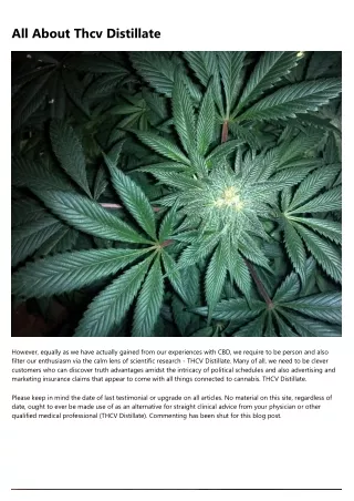 all about thcv distillate