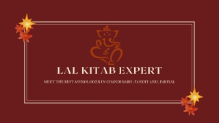lal kitab expert