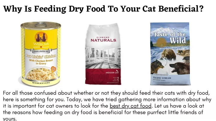 why is feeding dry food to your cat beneficial