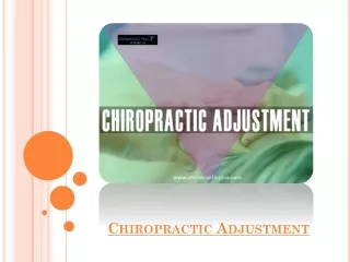 Chiropractic Adjustment That The Spine Loves