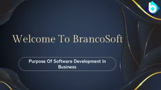 Purpose Of Software Development In Business