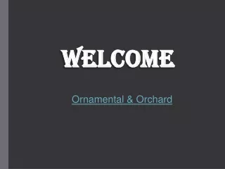 welcome