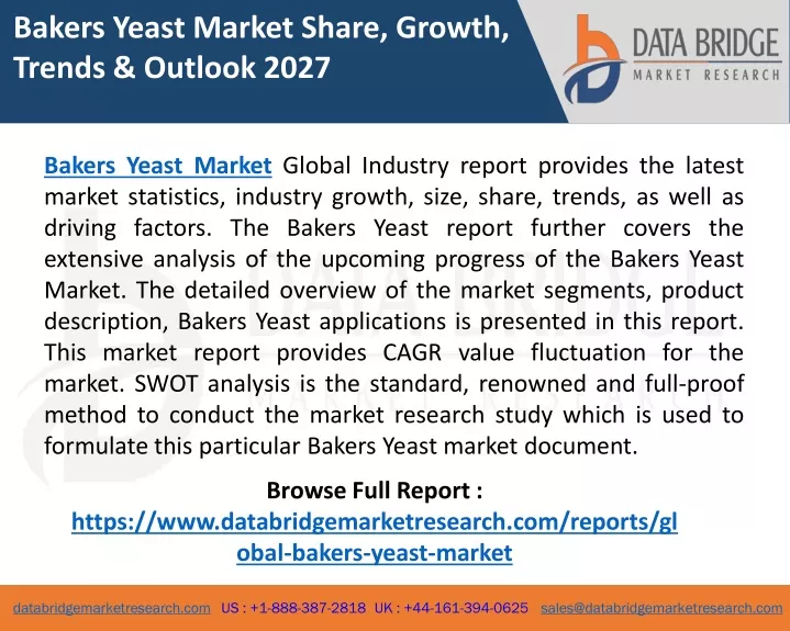 bakers yeast market share growth trends outlook