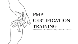 pmp training course
