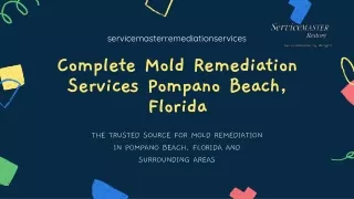 Mold Removal And Remediation Services In Pompano Beach