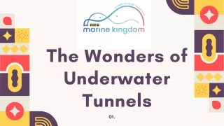 the wonders of underwater tunnels