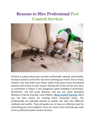 Reasons to hire professional pest control services