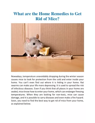 What are the home remedies to get rid of mice