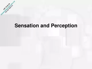 sensation and perception