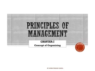principles of management