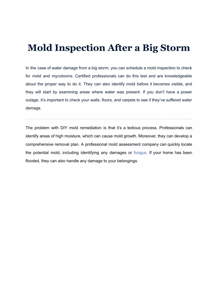 mold inspection after a big storm